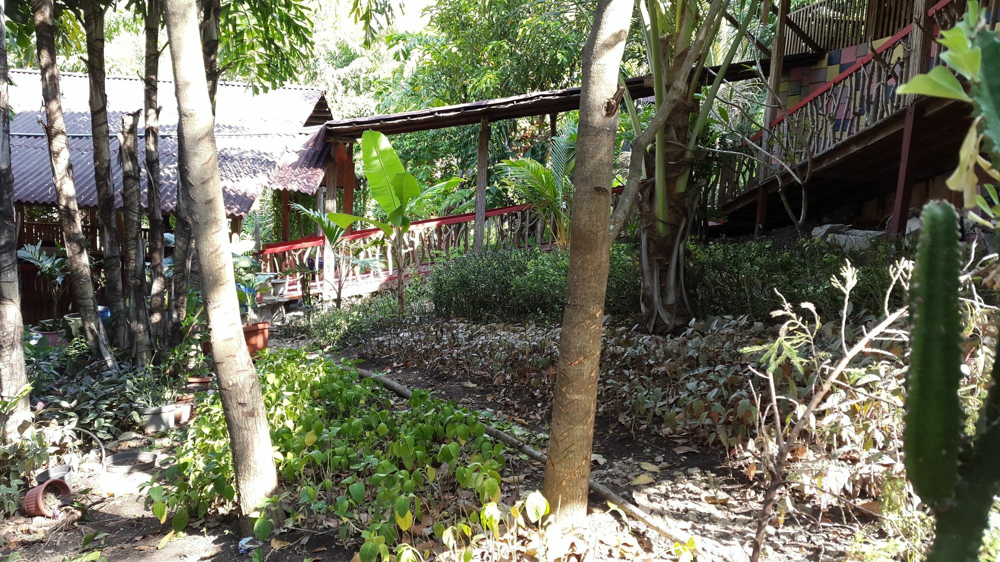 Centro Bajo Hotel & Resto Labuan Bajo Exteriör bild
