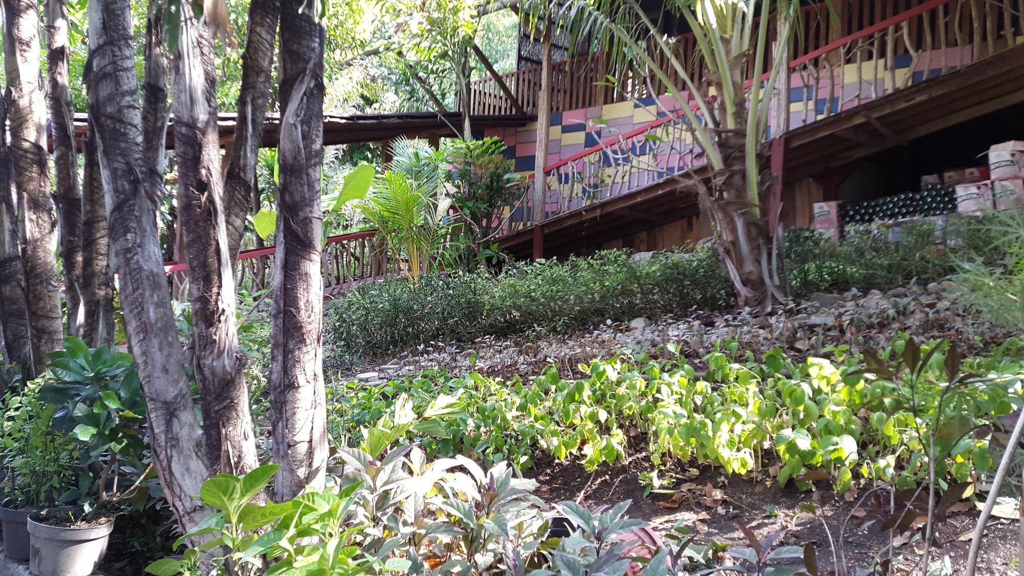 Centro Bajo Hotel & Resto Labuan Bajo Exteriör bild