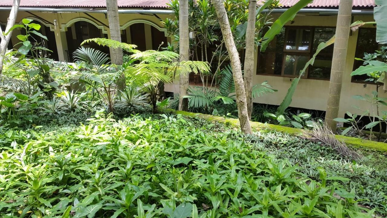 Centro Bajo Hotel & Resto Labuan Bajo Rum bild