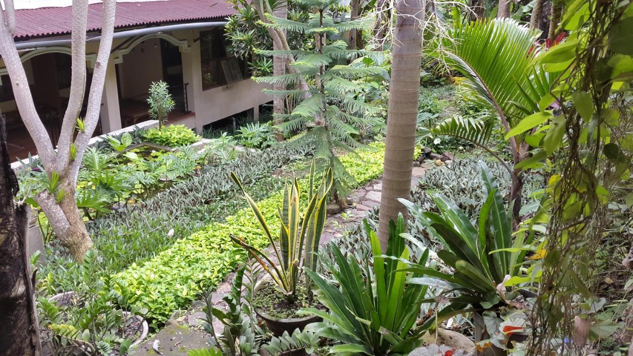 Centro Bajo Hotel & Resto Labuan Bajo Rum bild